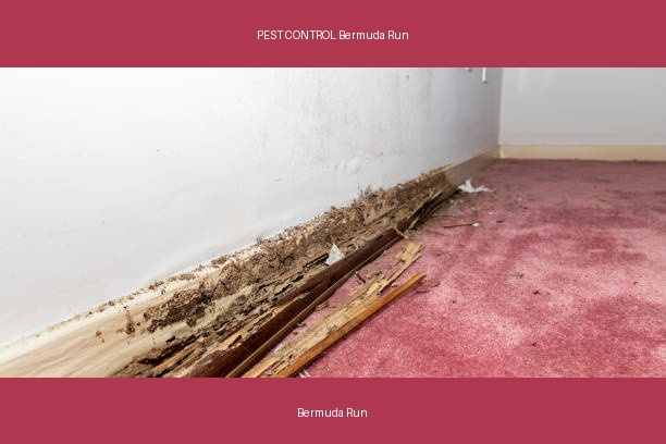 PEST CONTROL Bermuda Run